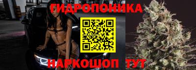 СК Донской