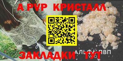СК Донской