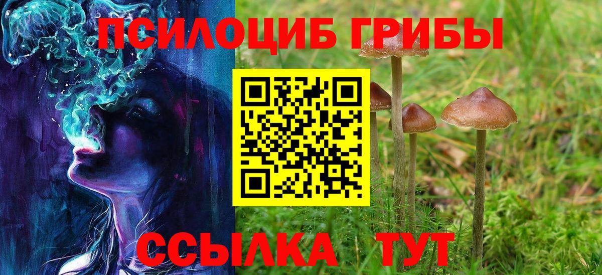 Новоалтайск  Галлюциногенные грибы Magic Shrooms  Вход с VPN 